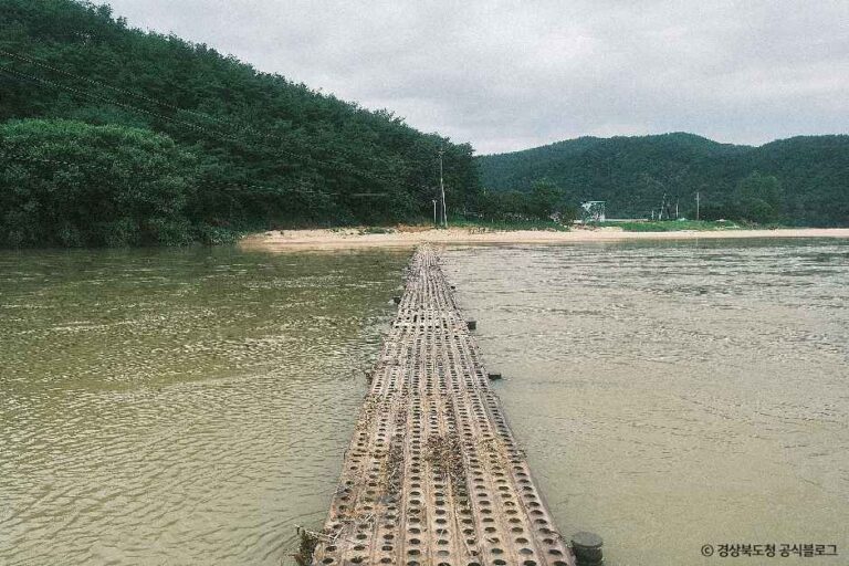 [경북] 뿅뿅다리