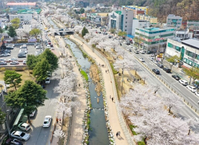 [경북] 구미 금리단길