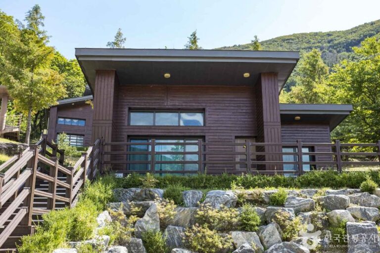 [경북] 보현산 자연휴양림