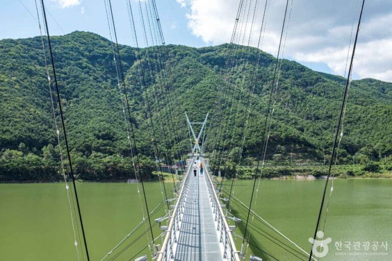 [경북] 보현산댐 출렁다리