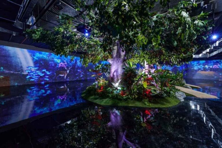 [경북] 정글미디어파크