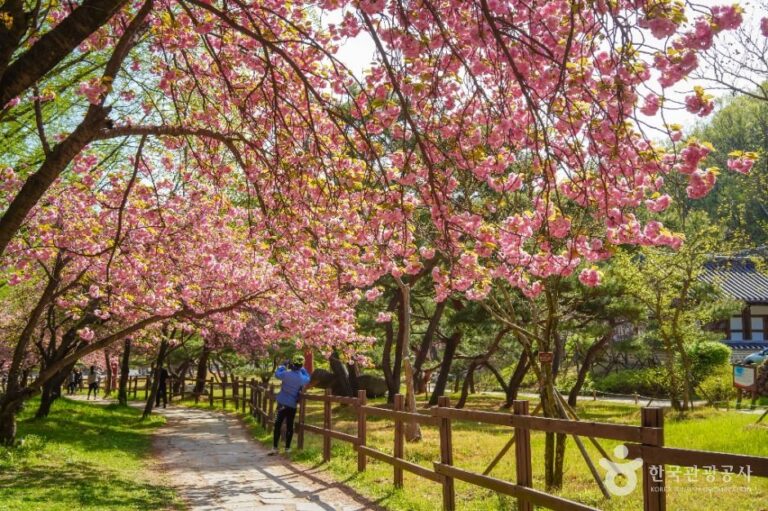 [경북] 금오산도립공원