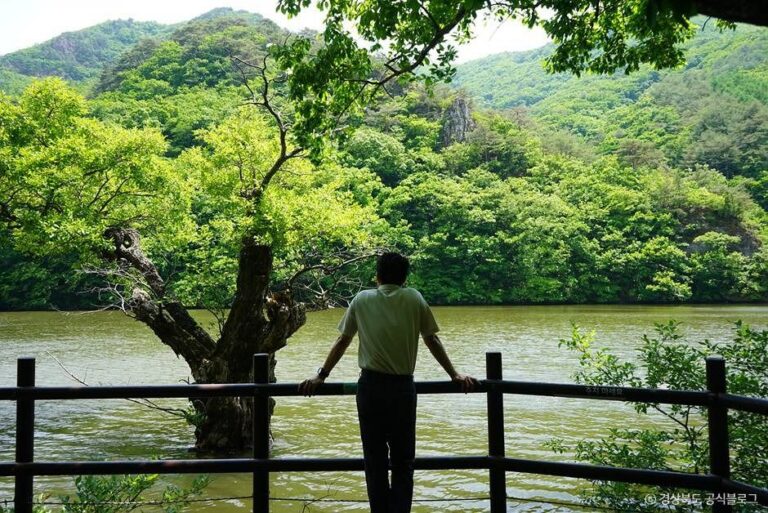 [경북] 주산지(청송 국가지질공원)