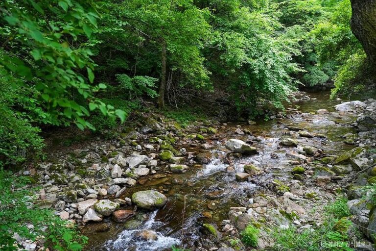 [경북] 백천계곡