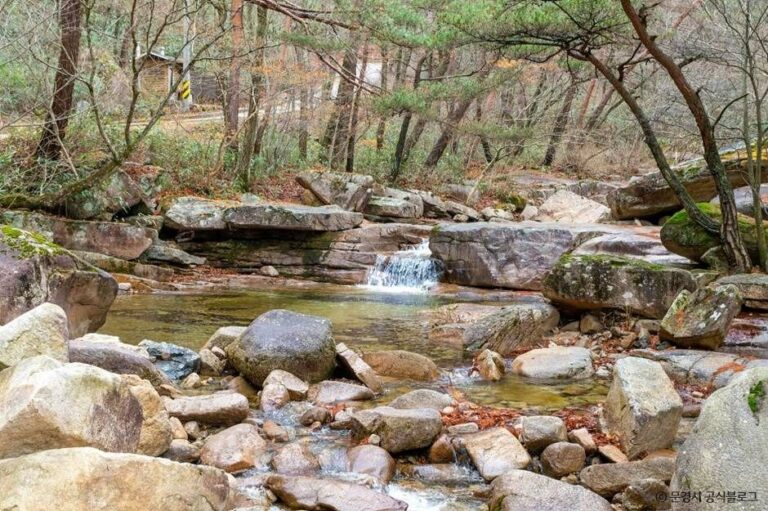 [경북] 대야산 용추계곡