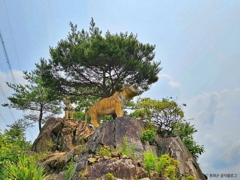 [경북] 범바위 전망대