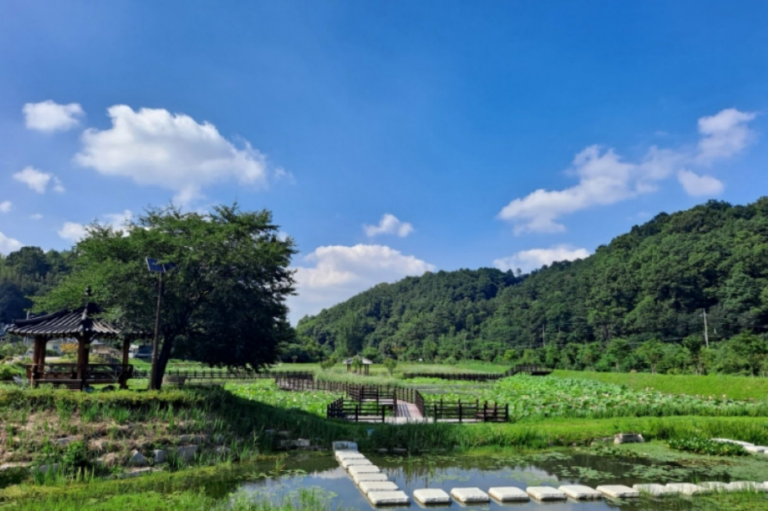 [경북] 지산지(옥련생태공원)