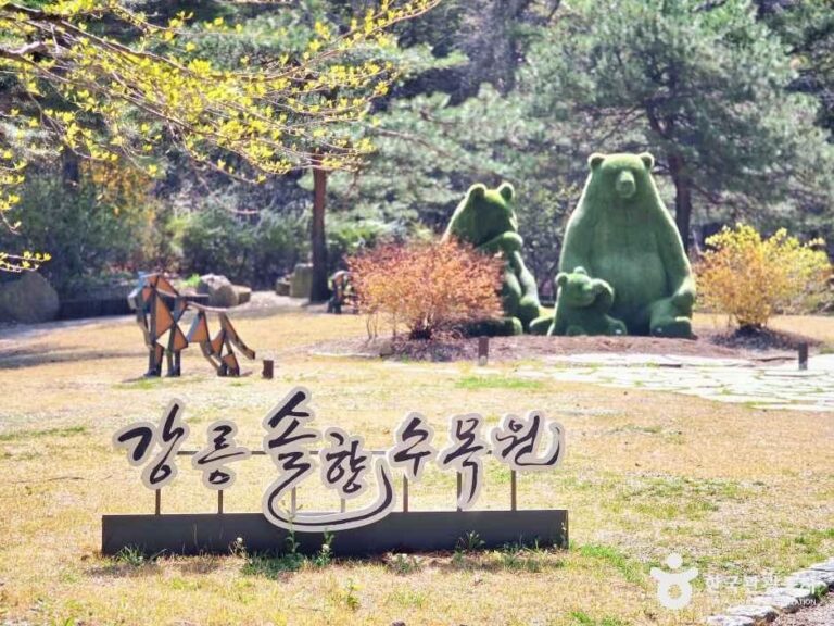 [강원] 강릉 솔향수목원