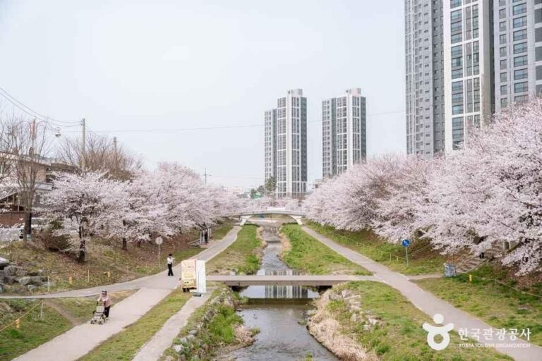[충남] 원성천