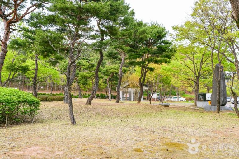 [경북] 흥무공원