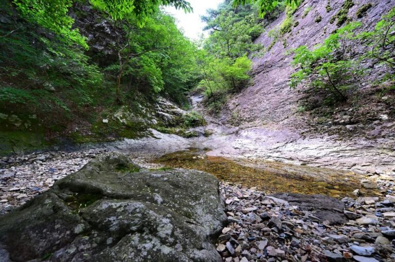 [경북] 면봉산 칼데라 (청송국가지질공원)