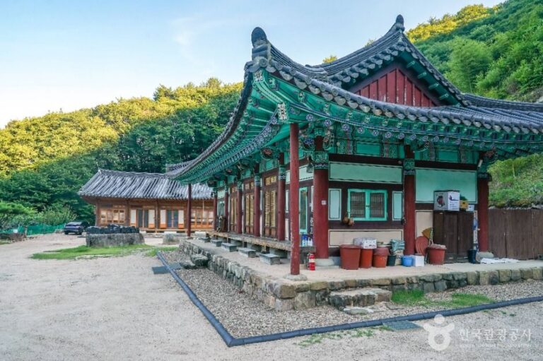 [경북] 대둔사(칠곡)