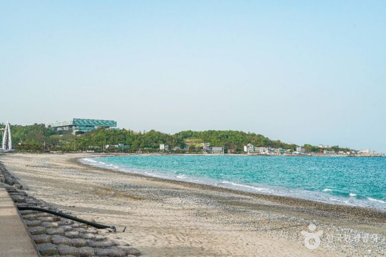 [경북] 관성솔밭해변