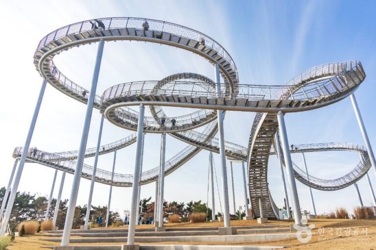 [경북] 환호공원 스페이스워크