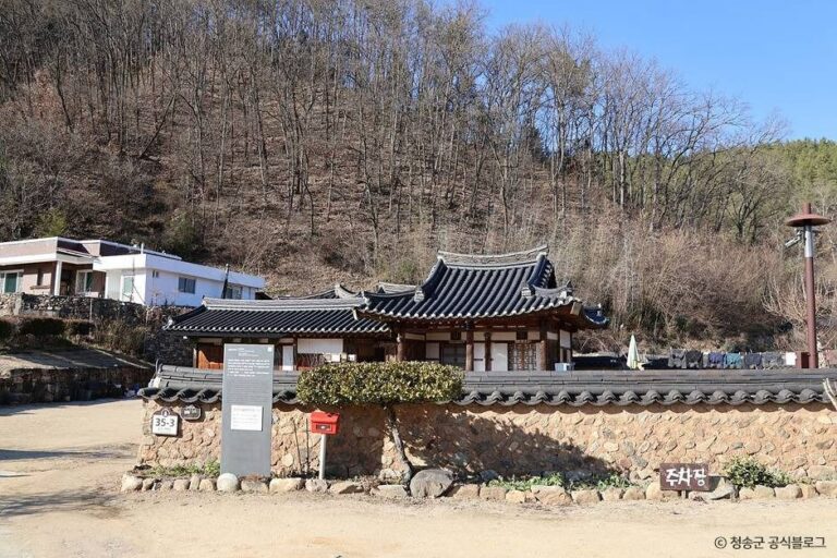 [경북] 청송초전댁