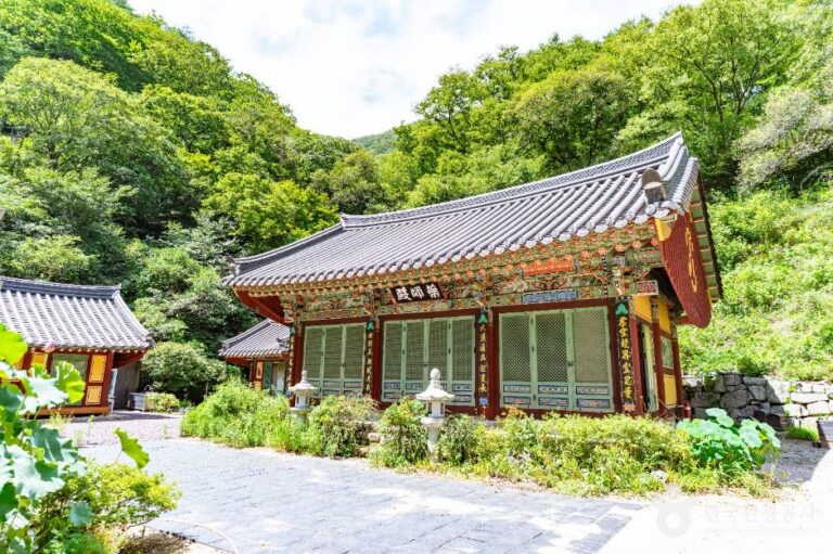 [경북] 금곡사(경주)