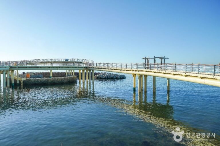 [경북] 포항 해상스카이워크