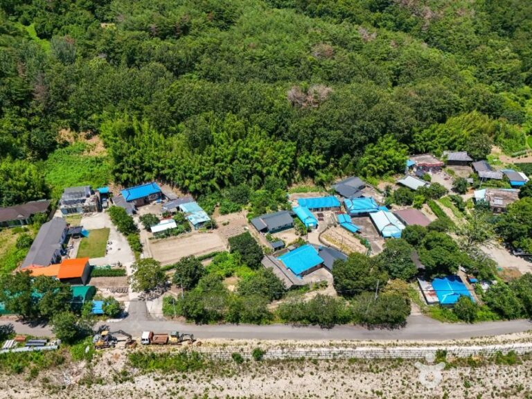 [경북] 포항 초롱구비마을