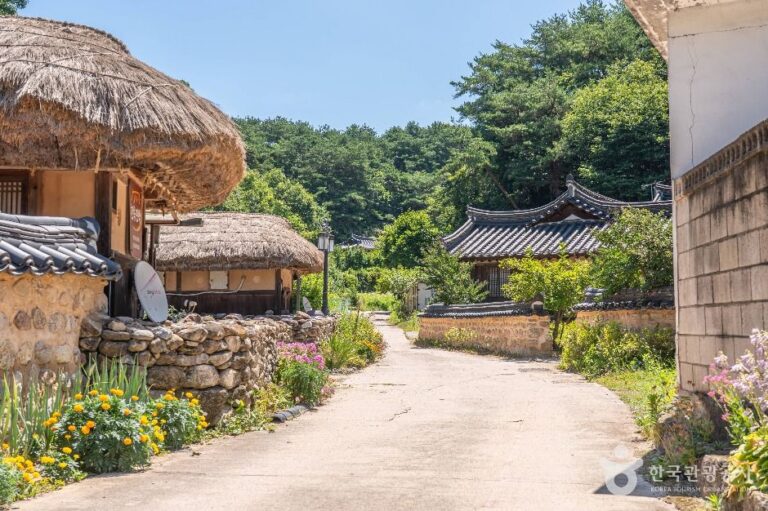 [경북] 무섬마을