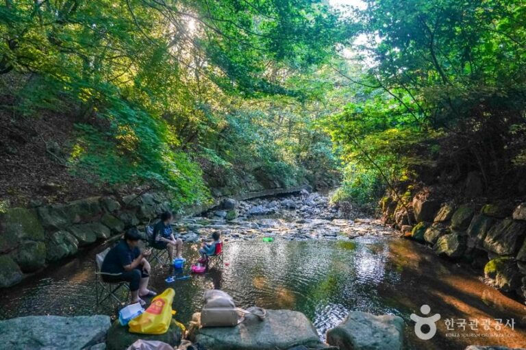 [경북] 금화계곡