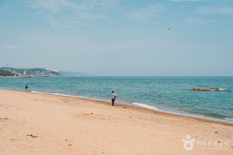 [경북] 남호해수욕장