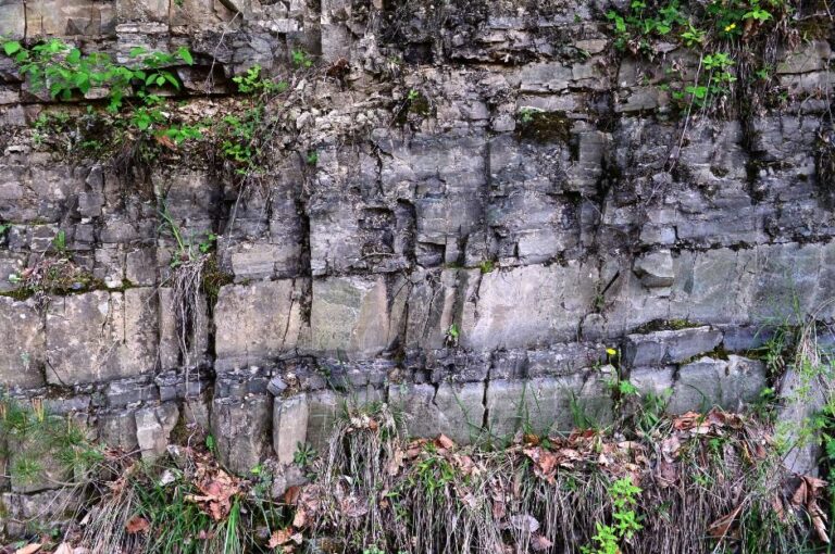 [경북] 청송자연휴양림 퇴적암층 (청송국가지질공원)