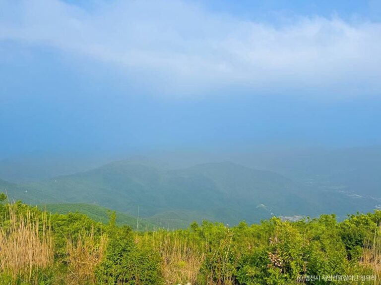 [경북] 보현산(영천)