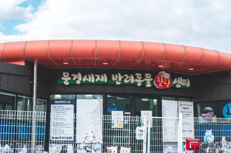 [경북] 문경새재 반려동물 힐링센터