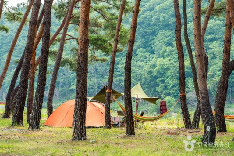 [경북] 오천솔밭유원지