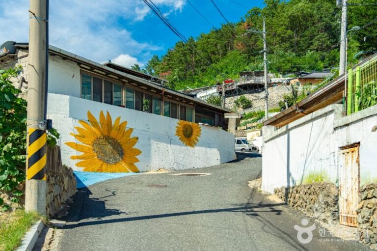 [경북] 신세동 벽화마을