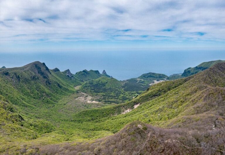 [경북] 성인봉 원시림 (울릉도, 독도 국가지질공원)