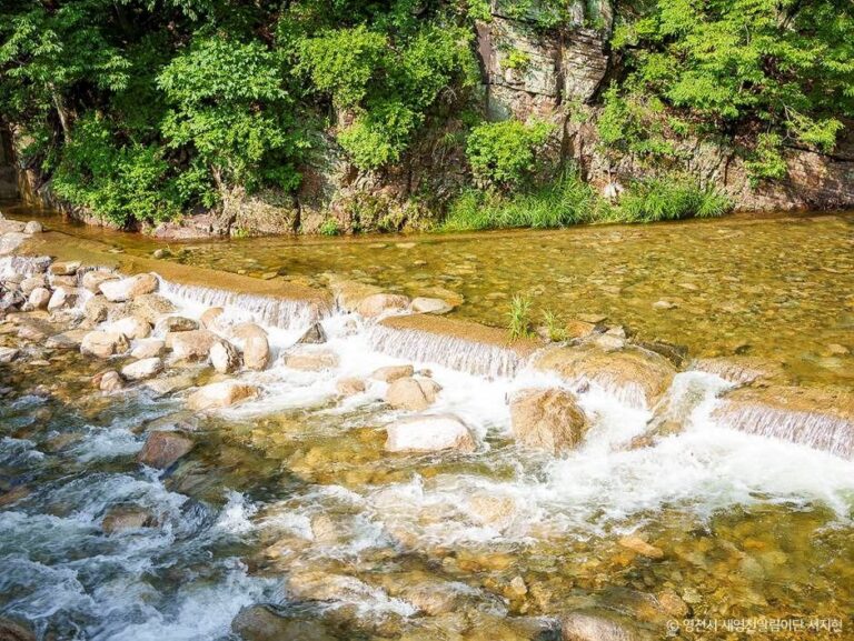 [경북] 치산계곡