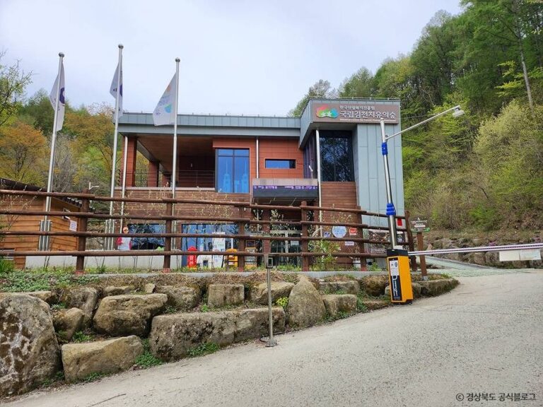 [경북] 국립김천치유의숲