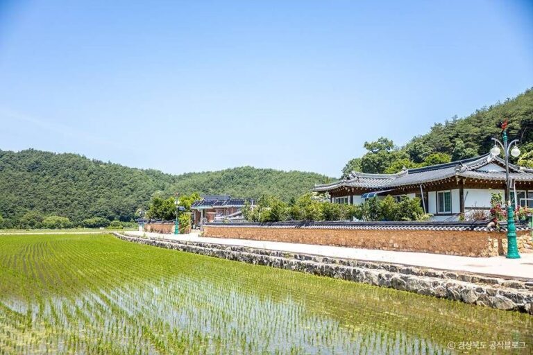 [경북] 봉화닭실마을