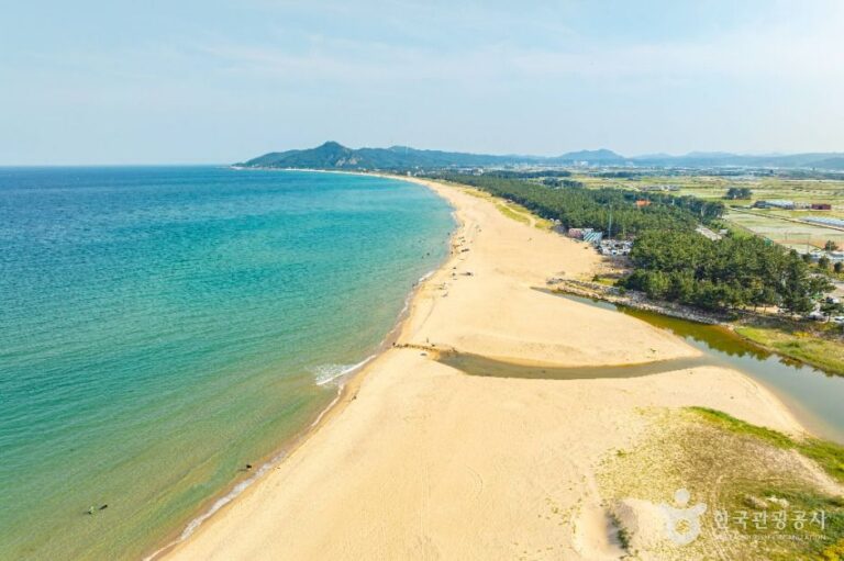 [경북] 고래불해수욕장