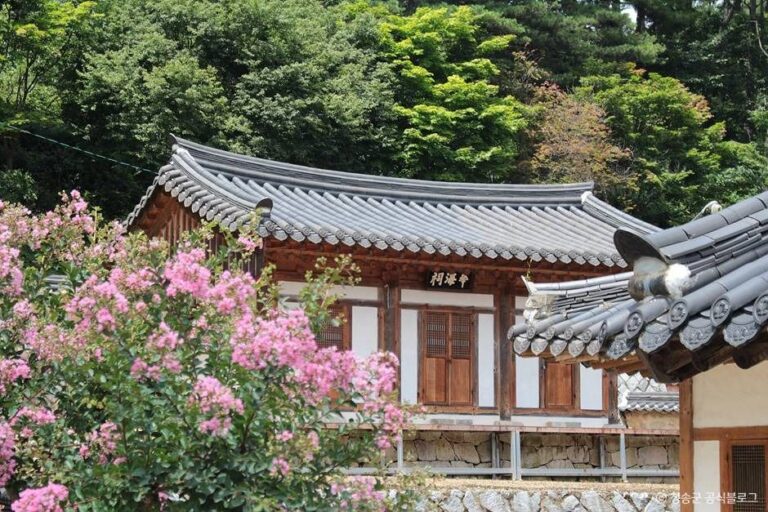 [경북] 사양서원