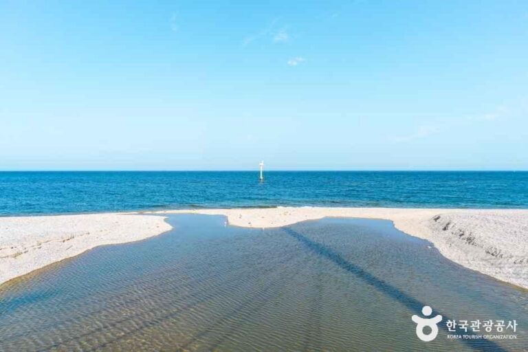 [경북] 전촌솔밭해변