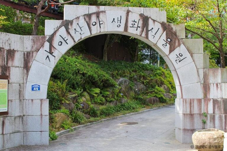 [경북] 가야산 야생화식물원