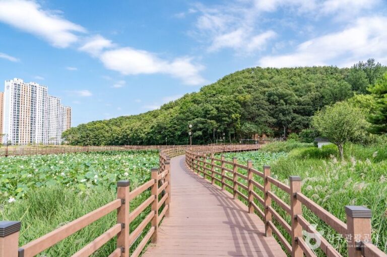 [경북] 들성생태공원