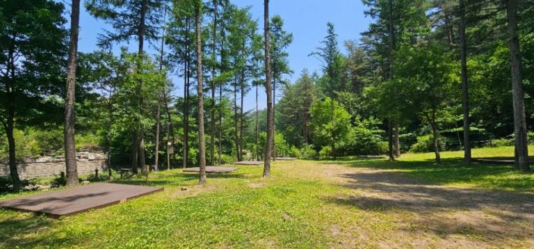 [경북] 국립청옥산자연휴양림