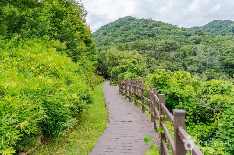 [경북] 옥성자연휴양림