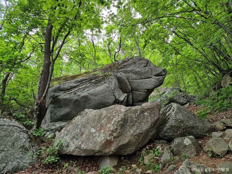 [경북] 소백산 국망봉  돼지바위