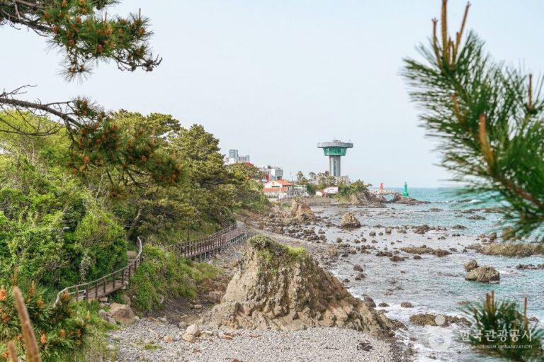 [경북] 파도소리길