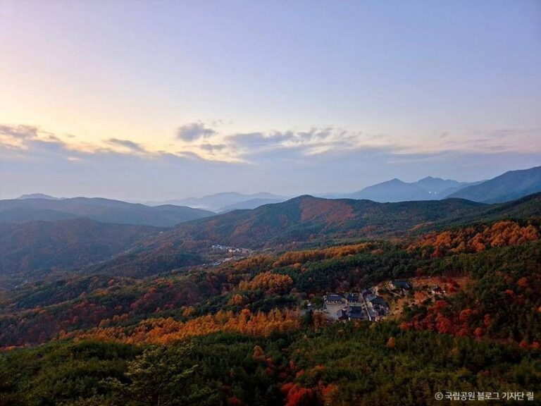 [경북] 가야산국립공원(백운동 지구)