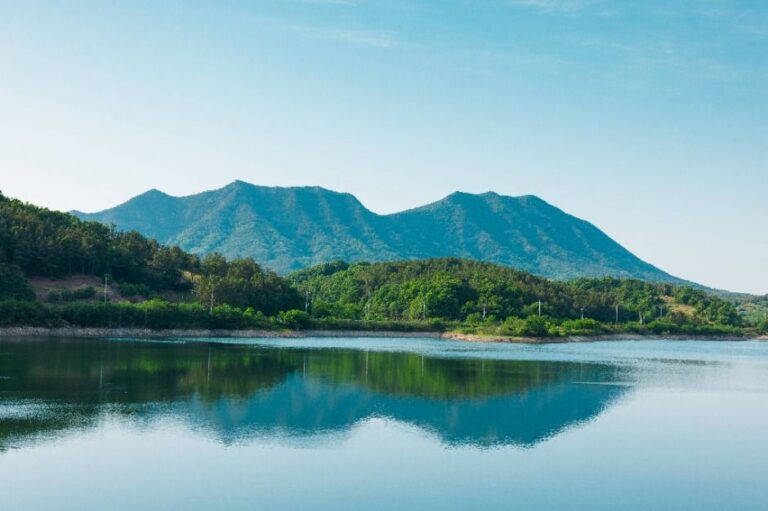 [경북] 금성산·비봉산(의성)