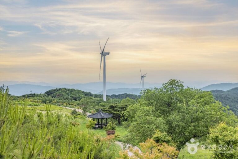[경북] 경주 풍력발전(바람의언덕)