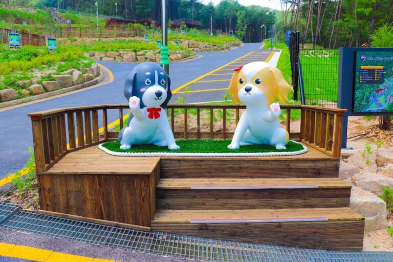 [경북] 국립김천숲속야영장