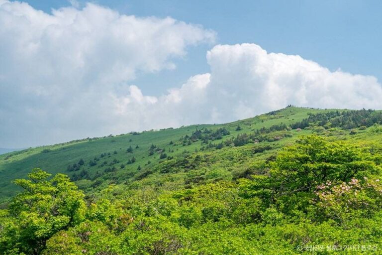 [경북] 소백산국립공원(경북)