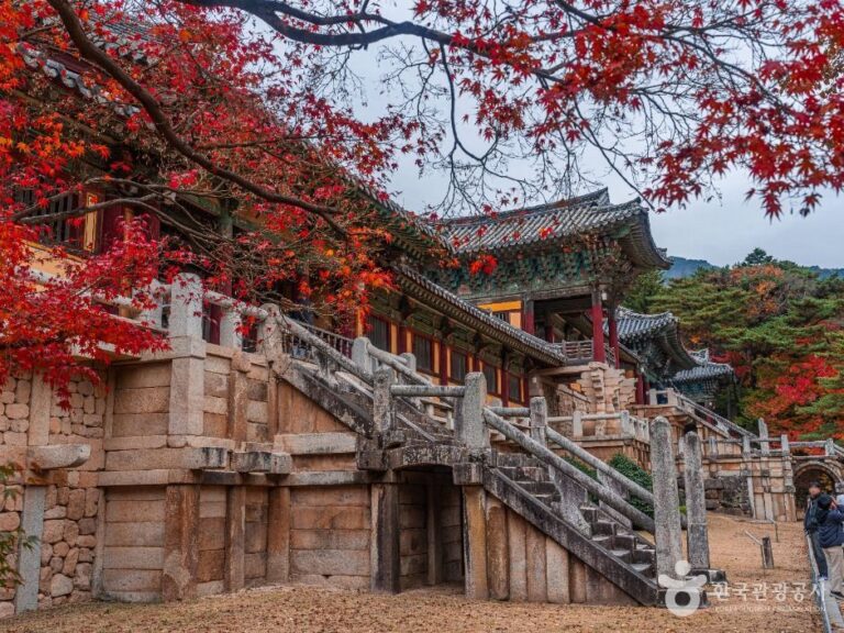 [경북] 경주 불국사 [유네스코 세계유산]