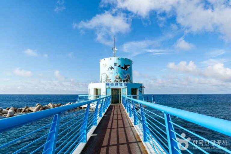 [경북] 천부해중전망대